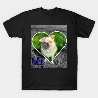 Teddy T-Shirt